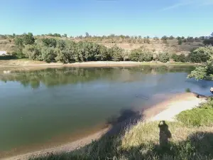 Plaja Gura Bâcului