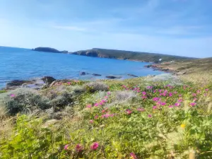 Caletta della curva di Pistis