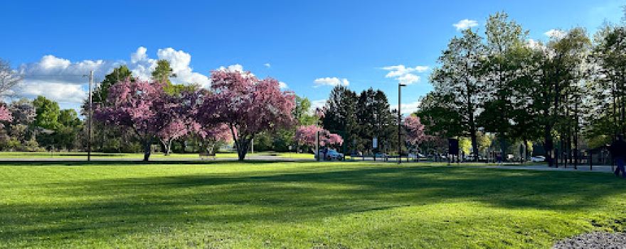 Camillus Park