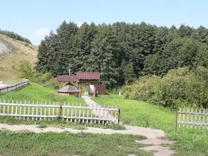 Korochanskaya Kinovideoset'