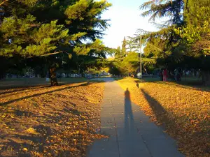 Plaza Francia