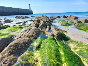Plage de Trescadec