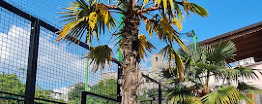 LaCasaDuPadel