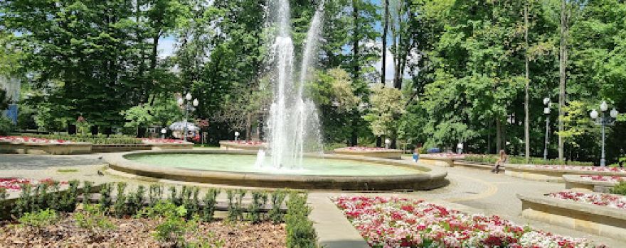 Park Miejski