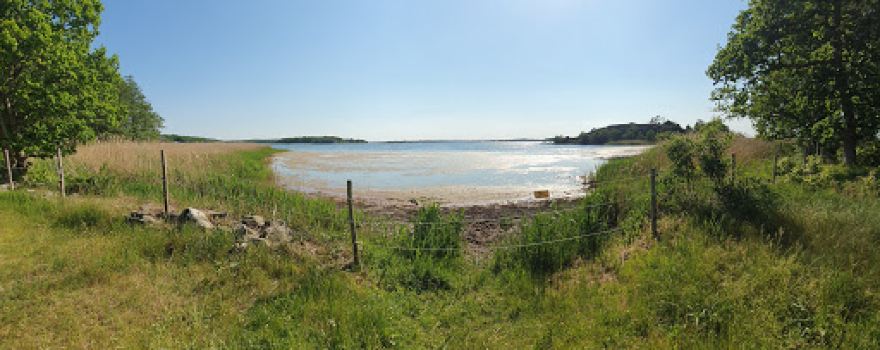 Hallarum
