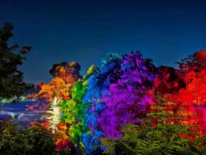 Giardini botanici di Singapore