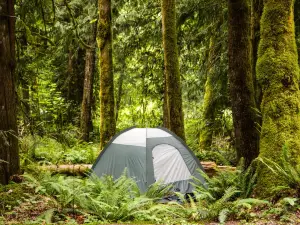Mt Hood Village Campground
