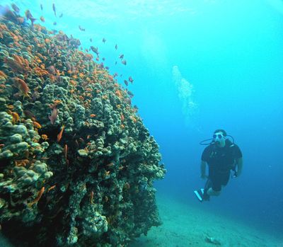 AquaPro Dive Center, Aqaba