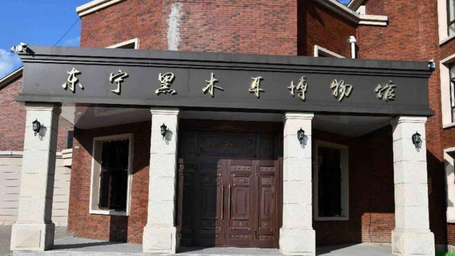 China Black Fungus Museum