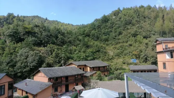 yang xin gu