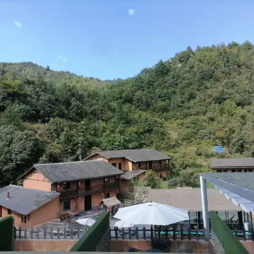 yang xin gu