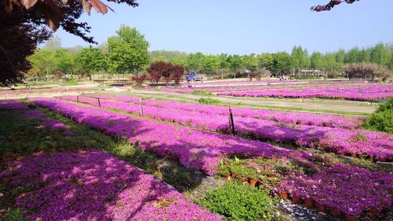 Pengjiawan Botanical Garden