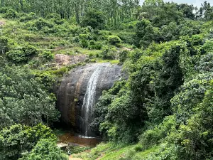Kolli Hill Forest