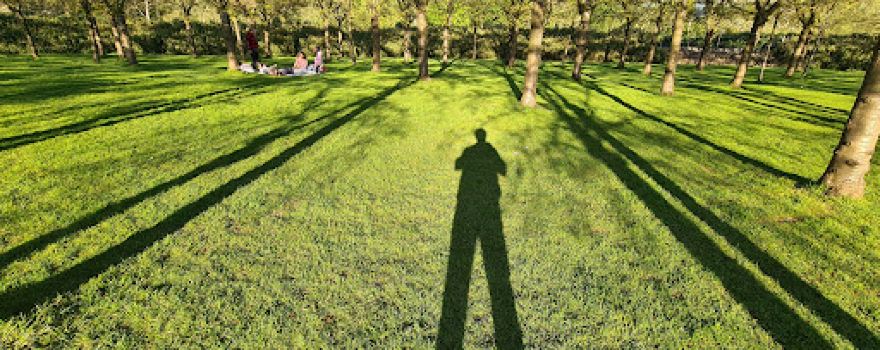 Bloesempark