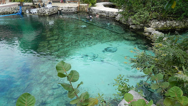 Coral Reef Aquarium Xcaret