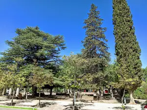 Square Chacras de Coria