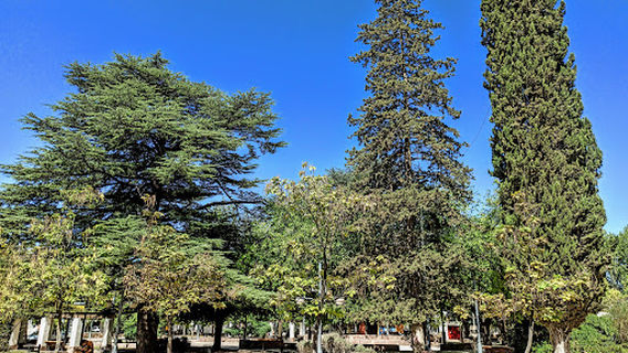 Square Chacras de Coria