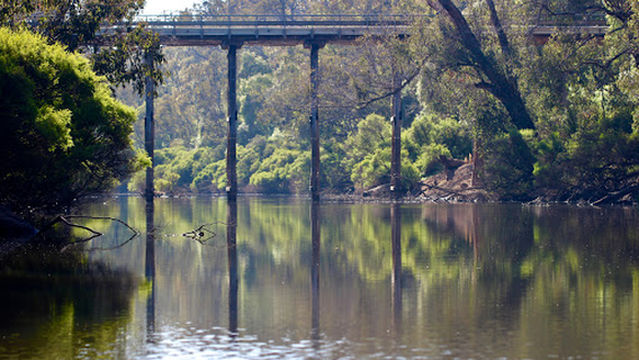 Sues Bridge Camping Ground