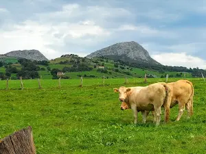 NACIMIENTO DEL "RÍO GÁNDARA"