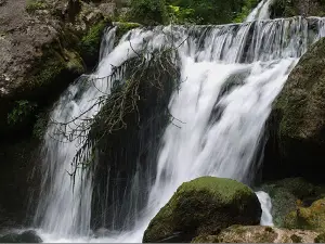 Cipresseta di Fontegreca - Informazioni e Visite Guidate