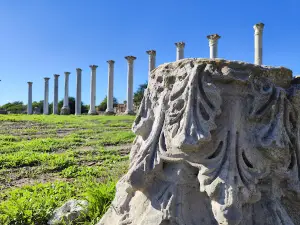 Salamis Harabeleri