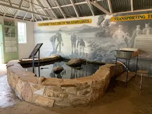 Salmon Ponds and the Museum of Trout Fishing