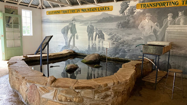 Salmon Ponds and the Museum of Trout Fishing