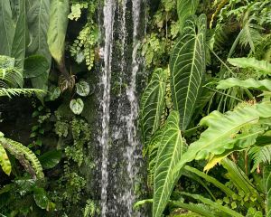香港-守口市 機票酒店 自由行