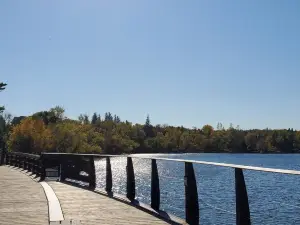 Lake Wilcox