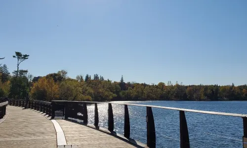Wilcox Lake