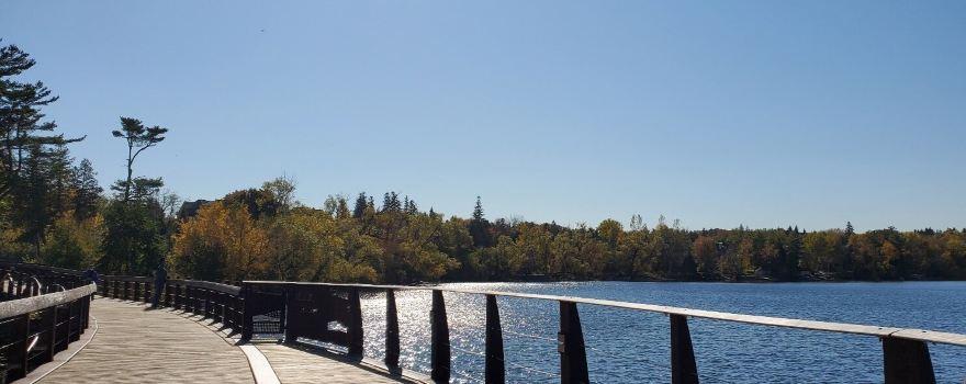 Wilcox Lake