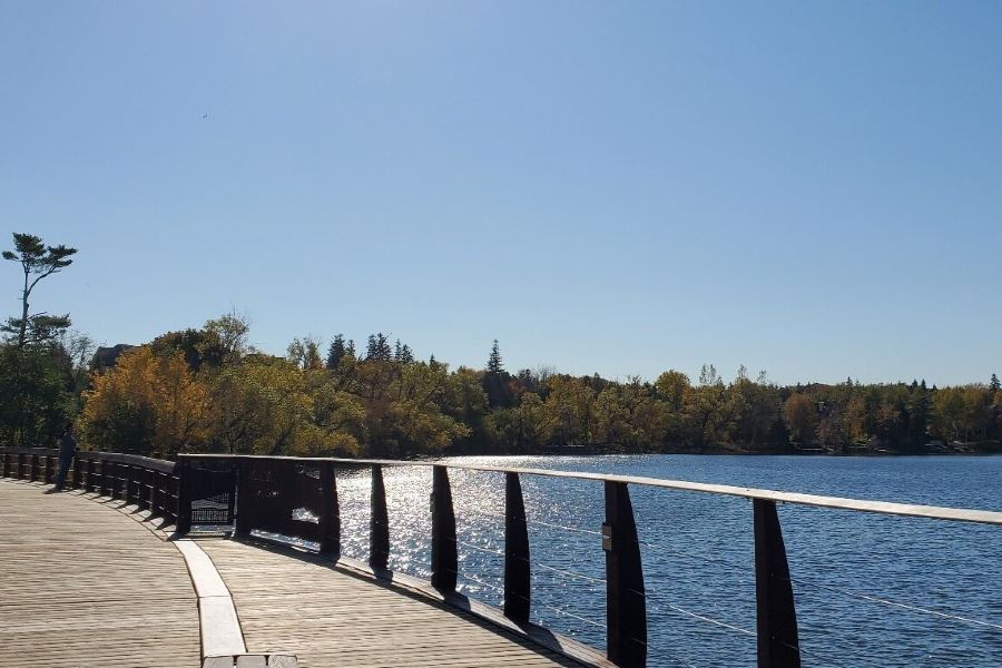 Wilcox Lake