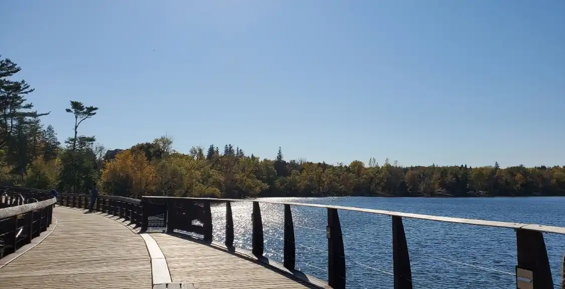 Hotels near Lake Wilcox