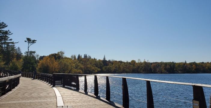 Lake Wilcox
