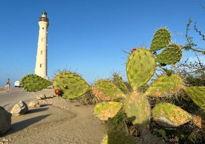 California Lighthouse