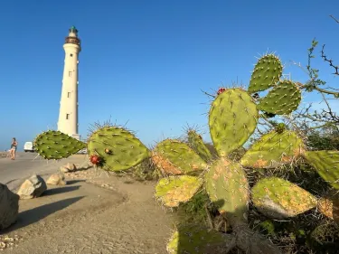 California Lighthouse