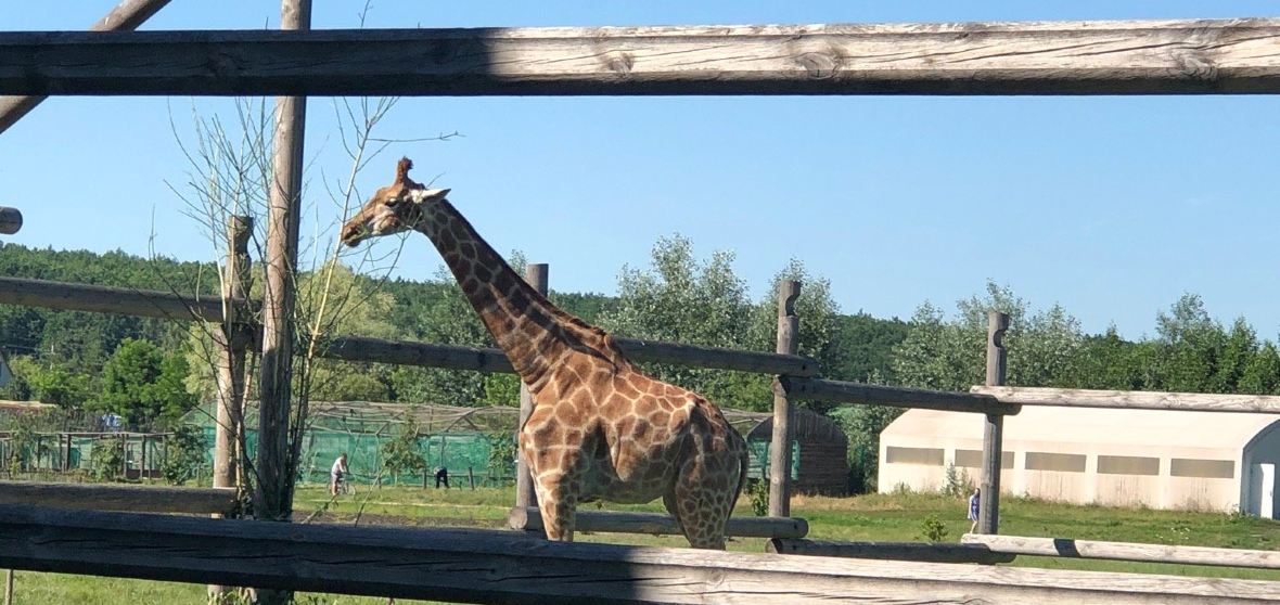 Мәскеудегі жалаңаш жағажайдың суреті