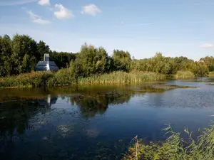 Verbeke Foundation