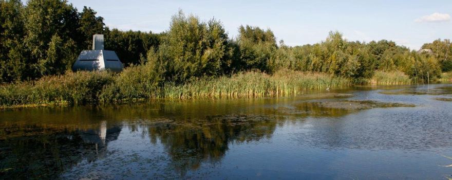 Verbeke Foundation
