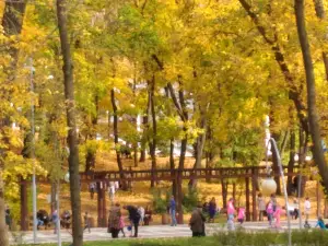 Voronezhskiy Tsentral'nyy Park Kul'tury I Otdykha
