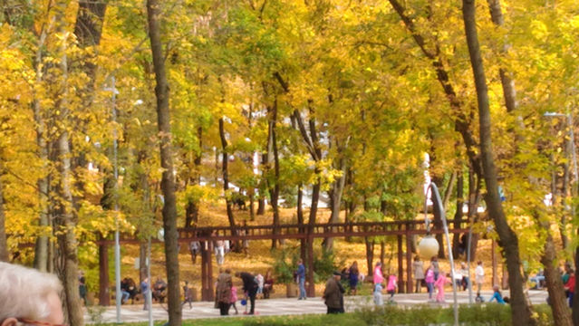 Voronezhskiy Tsentral'nyy Park Kul'tury I Otdykha