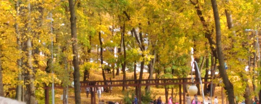 Воронежский центральный парк культуры и отдыха