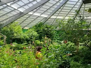 The Butterfly Place