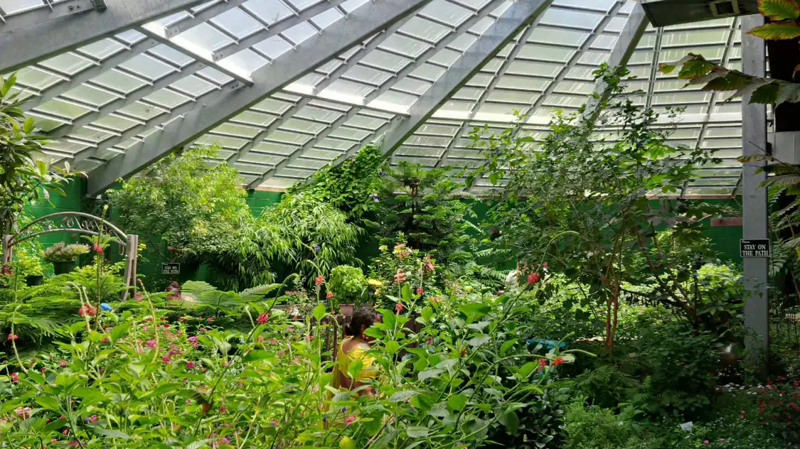 Hotels near The Butterfly Place