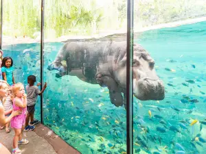 Fort Worth Zoo