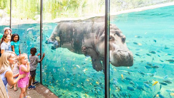 Fort Worth Zoo