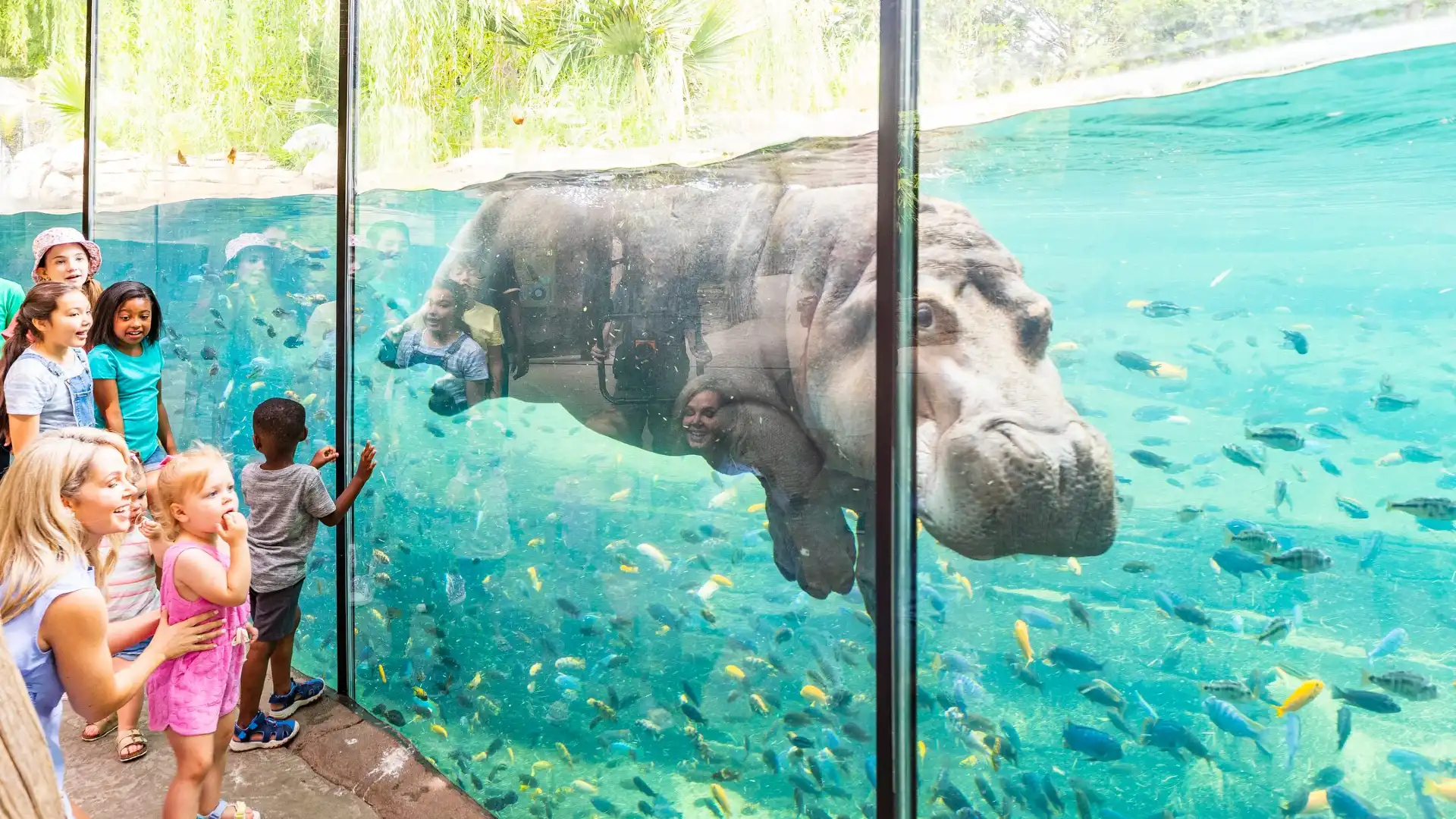 Hotels near Fort Worth Zoo