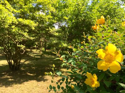 Yasu Kogen Kinen no Mori