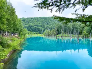 Shirogane Blue Pond (Aoiike)
