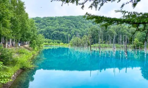 Shirogane Blue Pond (Aoiike)
